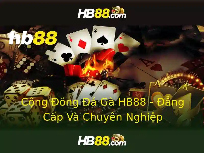 Tính năng và trò chơi