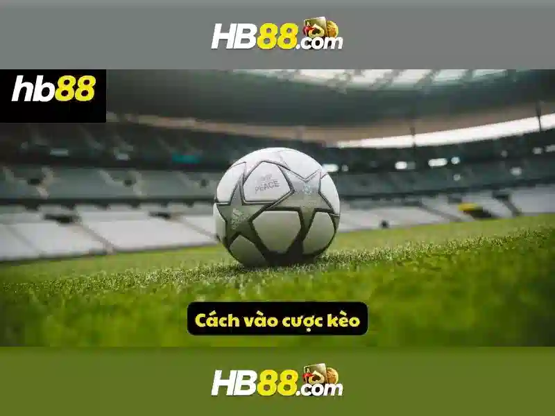 hb88: Nền tảng giải trí trực tuyến và hướng dẫn cơ bản