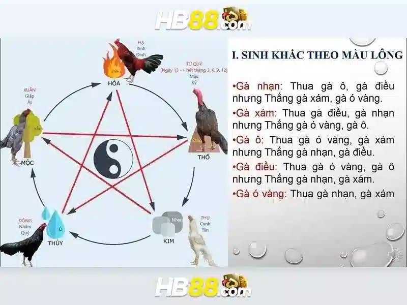 An toàn và chơi có trách nhiệm