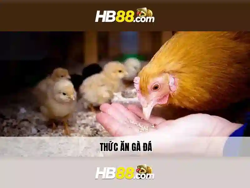 Hb88: Nền tảng cá cược trực tuyến tại thị trường hiện đại