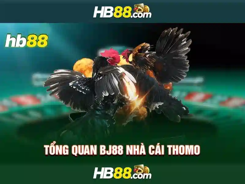 Tính năng nổi bật