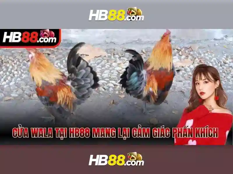 HB88 là gì? Tổng quan về nền tảng giải trí trực tuyến