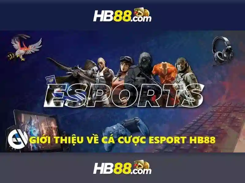 Hướng dẫn đăng ký và nạp rút