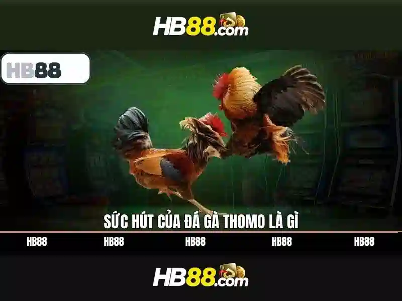 w88 cá cược thể thao