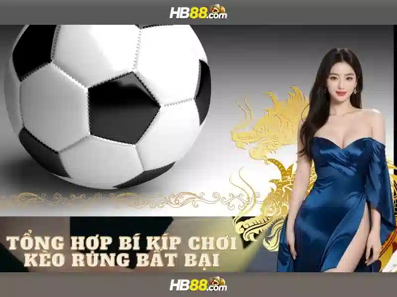 Trải nghiệm người dùng và phản hồi cộng đồng