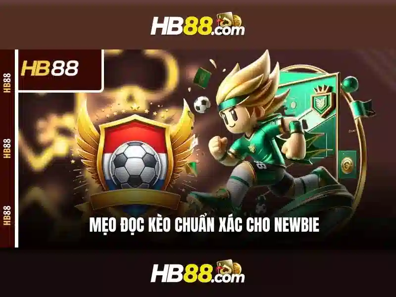 Kết luận và khuyến nghị