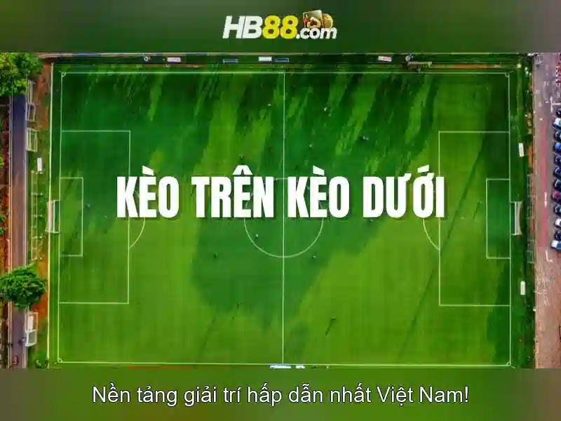 hb88 apk – Trải nghiệm casino trực tuyến an toàn và tiện lợi