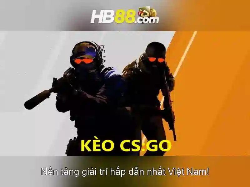 Các diện mạng và dịch vụ