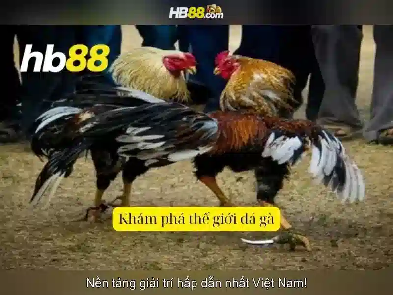 HB88 là gì? - Tổng quan về nền tảng cược trực tuyến
