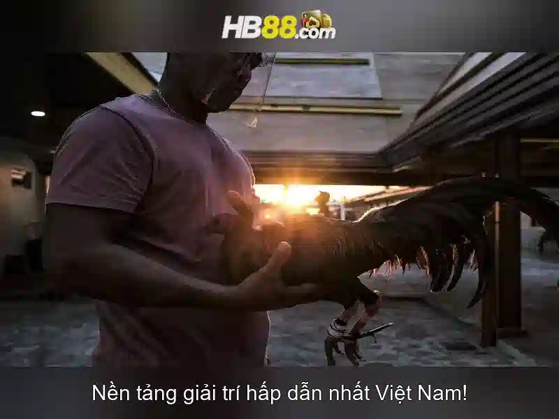 app hb88 – Khám phá trải nghiệm và đánh giá tin cậy