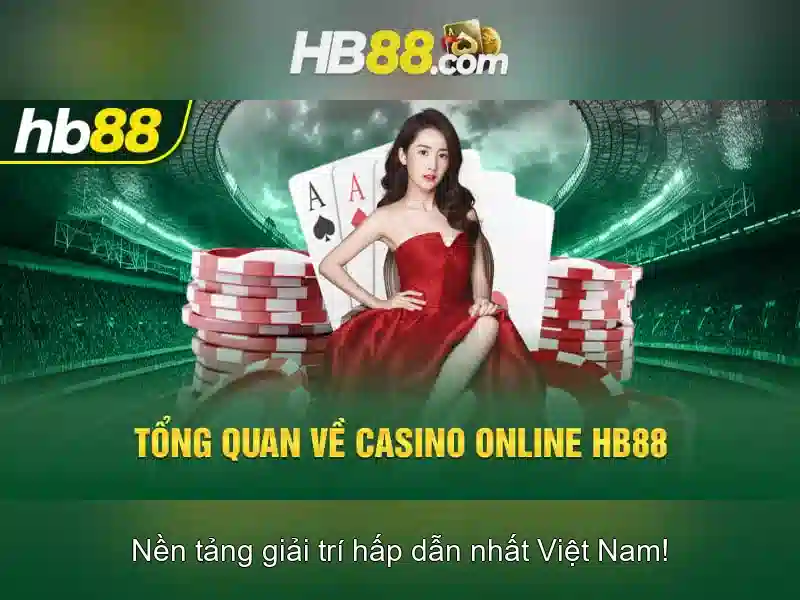 Khuyến nghị và rủi ro