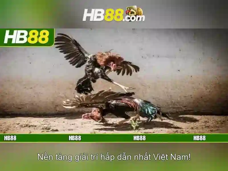 HB88: Giới thiệu và trải nghiệm người dùng
