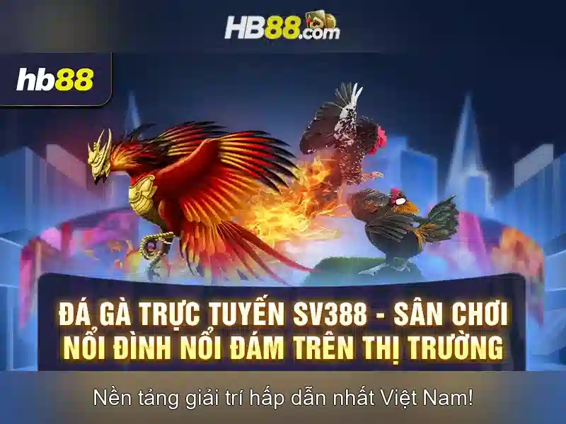 hb88: một nền tảng cá cược trực tuyến đáng chú ý