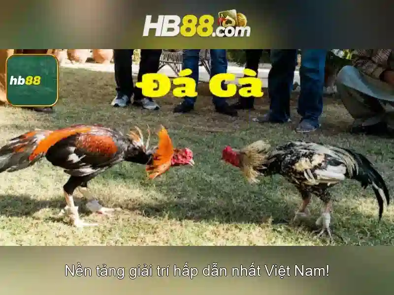 Trò chơi và cược