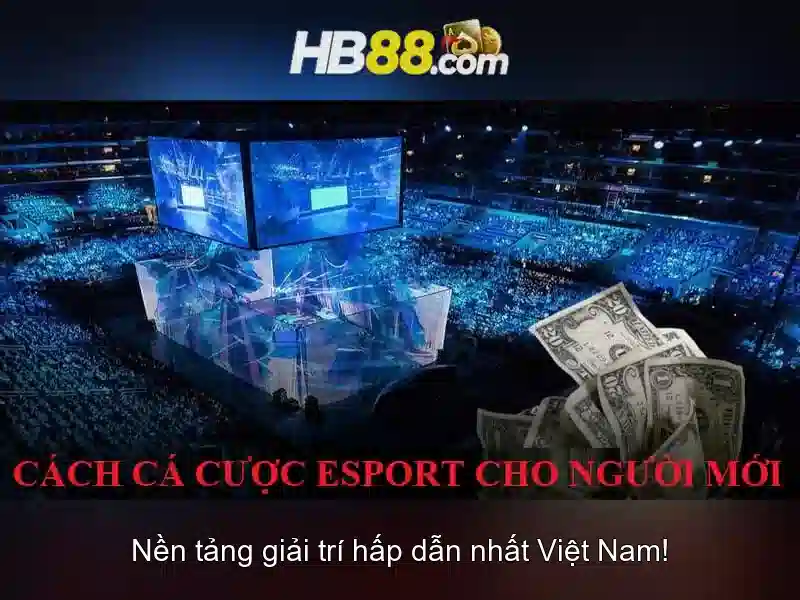 Các trò chơi phổ biến