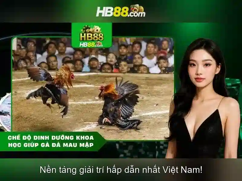 An toàn và trách nhiệm chơi