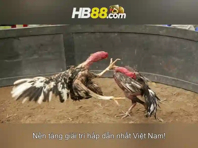 Hỗ trợ khách hàng và cộng đồng người chơi