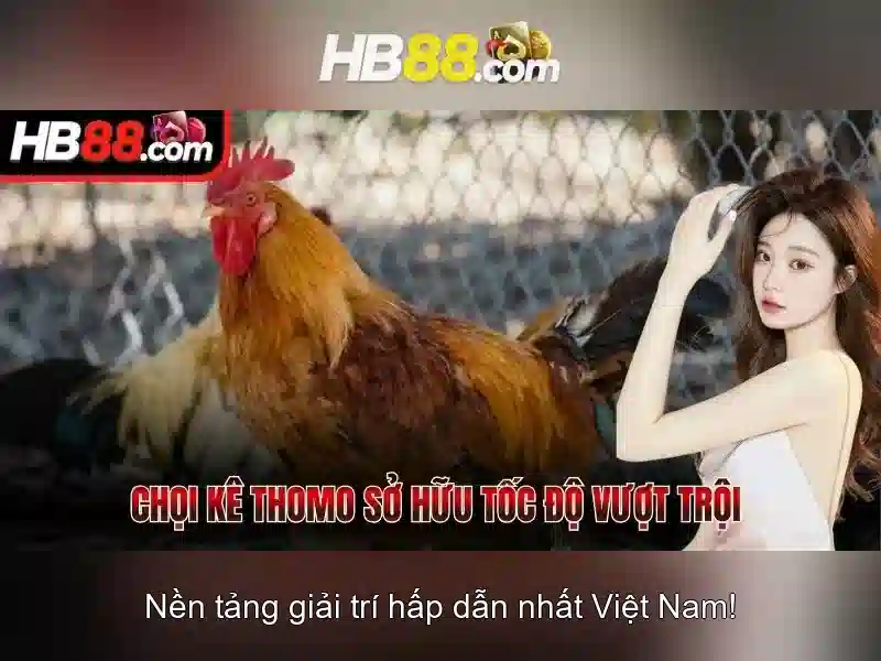 HB88 là gì