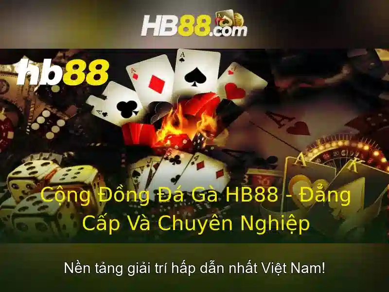 Định hướng phát triển và tầm nhìn tương lai