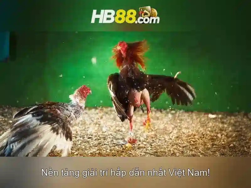 HB88 là gì và vai trò của nó trong ngành game trực tuyến